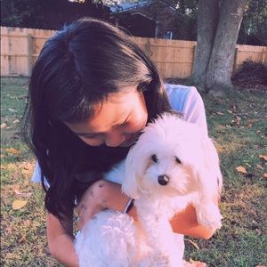 Meet your Posher, Evie